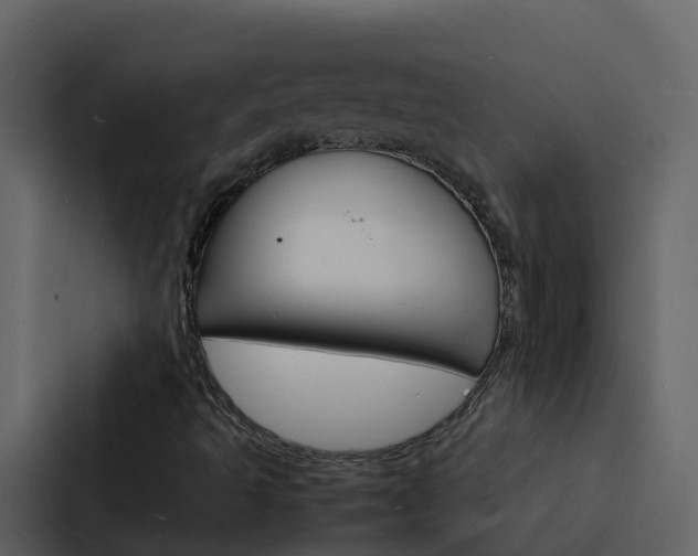X0000088131493200705140946