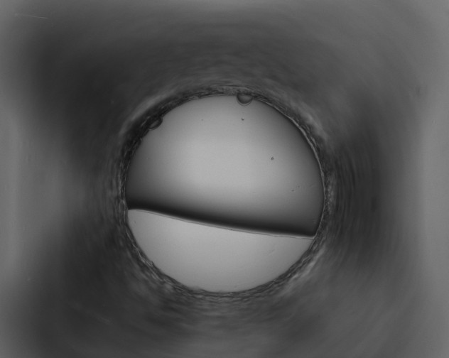 X0000088131494200705140946