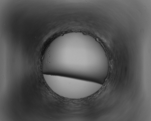 X0000088131495200705140946