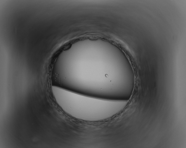 X0000088131496200705140946