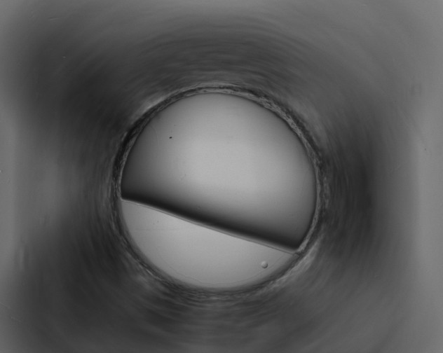 X0000088131497200705140947