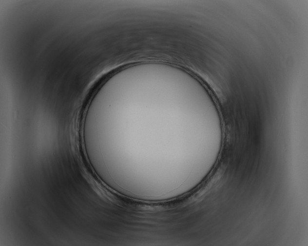 X0000088131499200705140947