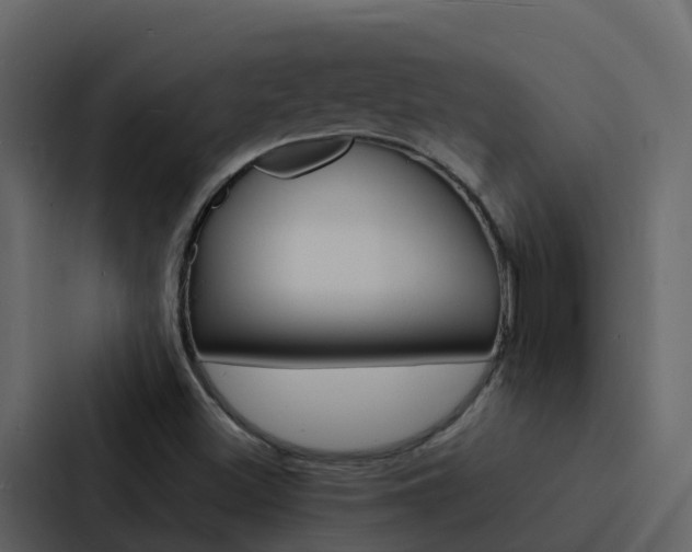 X0000088131500200705140947