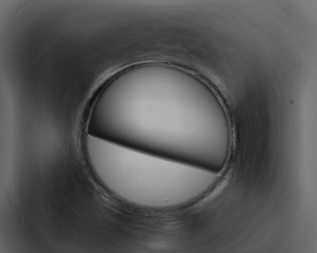 X0000088131501200705140947