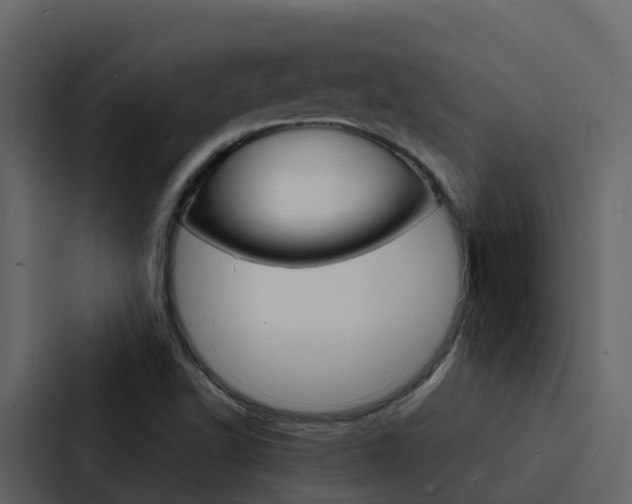 X0000088131502200705140947