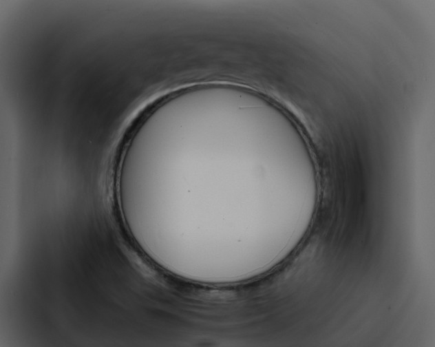 X0000088131503200705140947