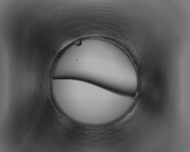 X0000088131505200705140947