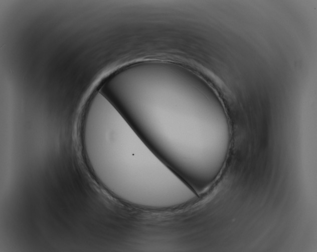 X0000088131506200705140947