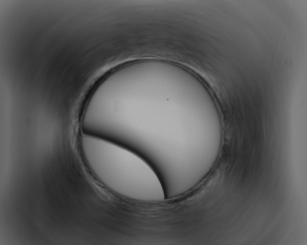 X0000088131507200705140947