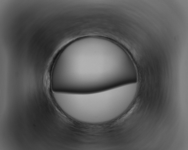 X0000088131509200705140947