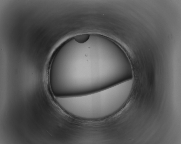 X0000088131510200705140947