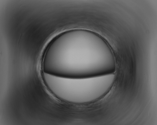 X0000088131511200705140947
