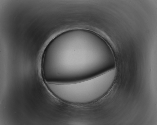 X0000088131512200705140947
