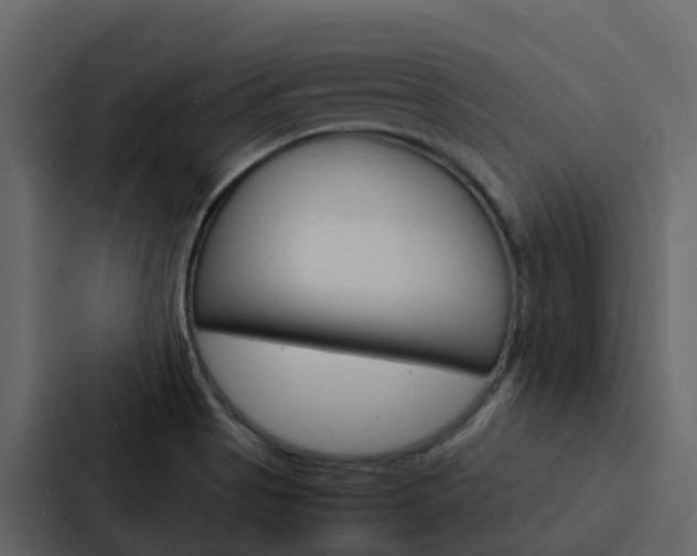 X0000088131513200705140947