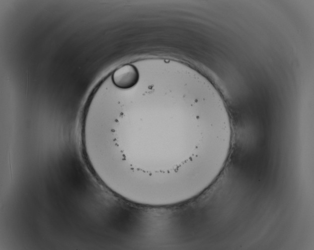 X0000088131514200705140947