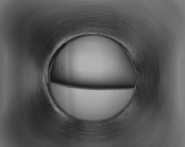 X0000088131515200705140947