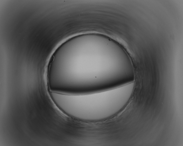 X0000088131516200705140947