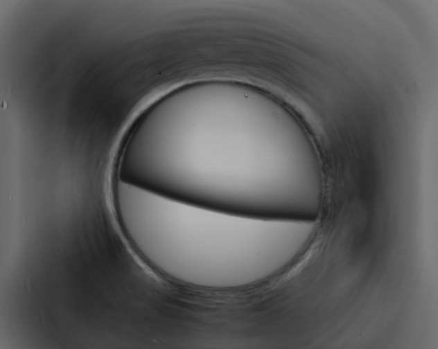 X0000088131517200705140947