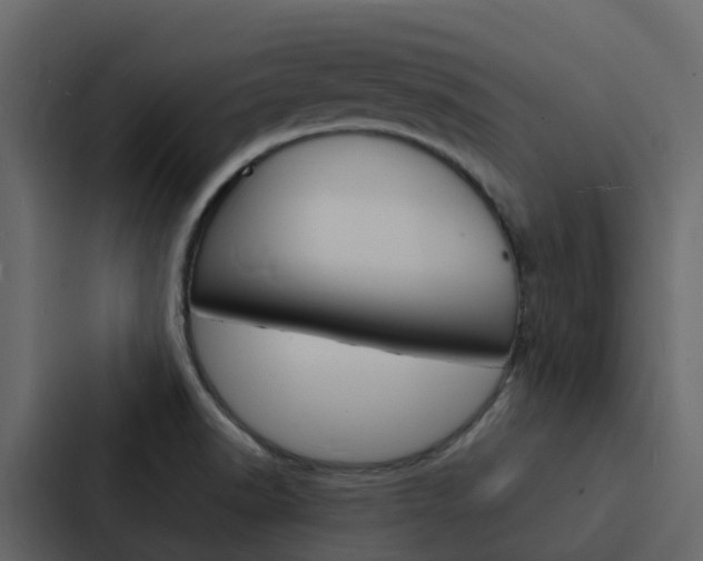 X0000088131518200705140947