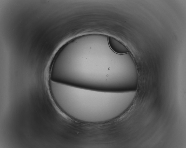 X0000088131519200705140947