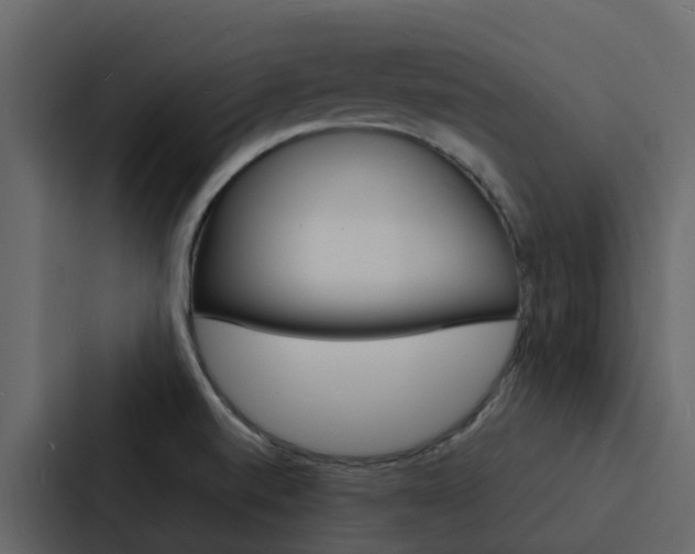 X0000088131520200705140947