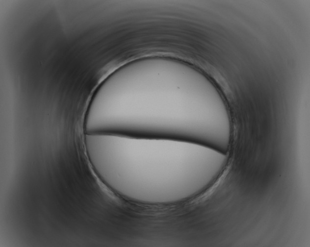 X0000088131521200705140947