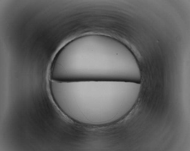 X0000088131522200705140947