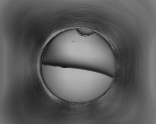 X0000088131523200705140947