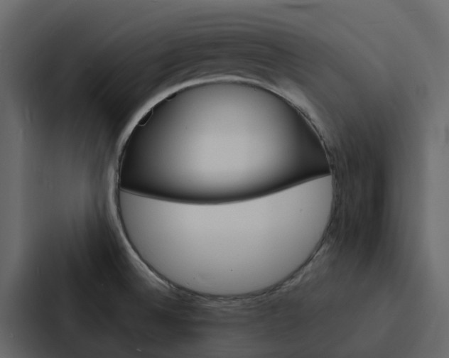 X0000088131524200705140947