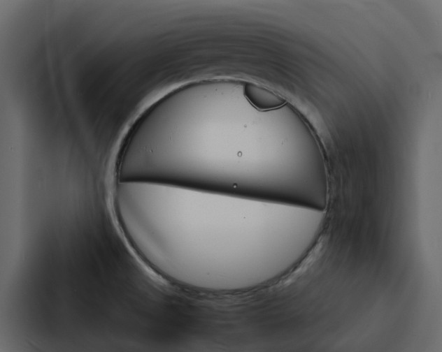X0000088131525200705140947