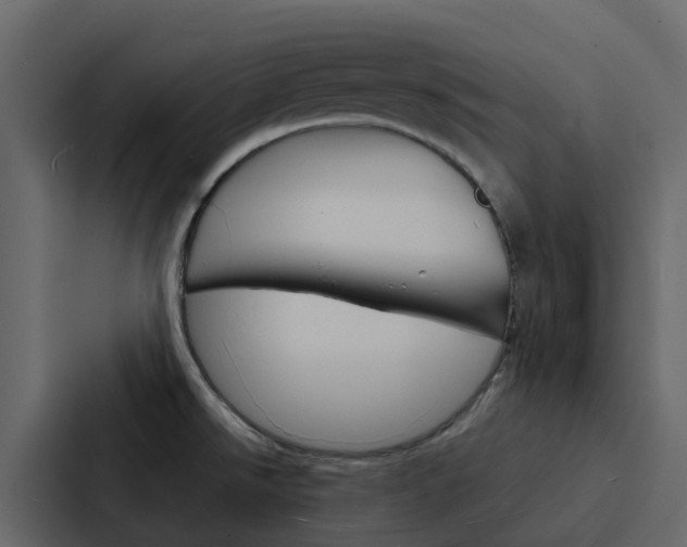 X0000088131526200705140947