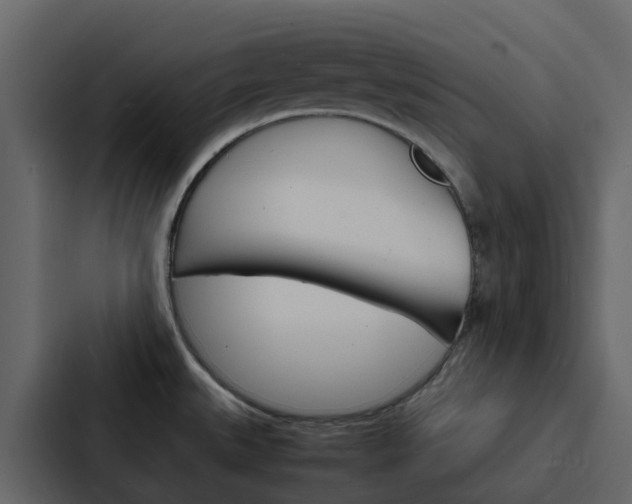 X0000088131527200705140947