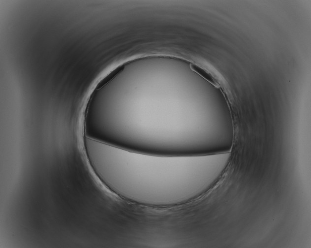 X0000088131528200705140947