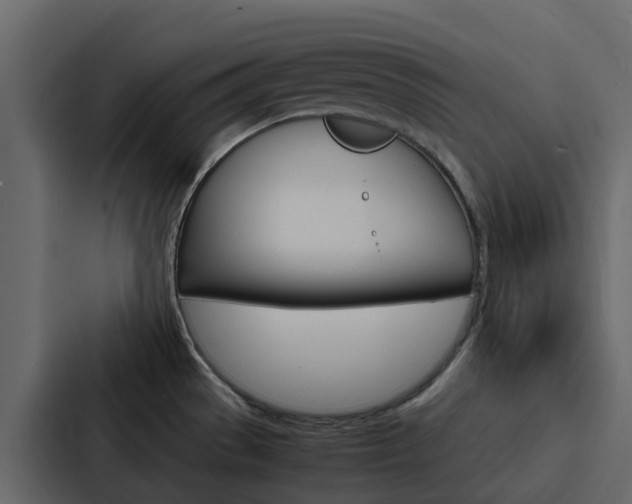 X0000088131529200705140947