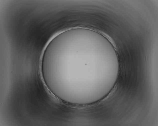 X0000088131530200705140947
