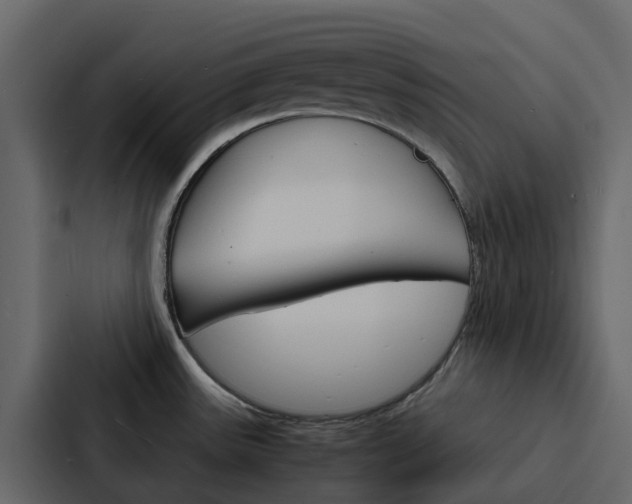 X0000088131531200705140947