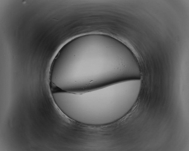 X0000088131532200705140947