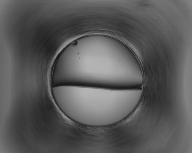 X0000088131533200705140947