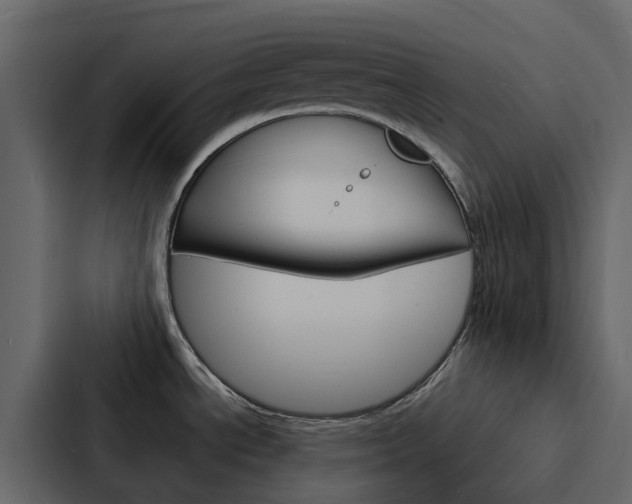 X0000088131534200705140947