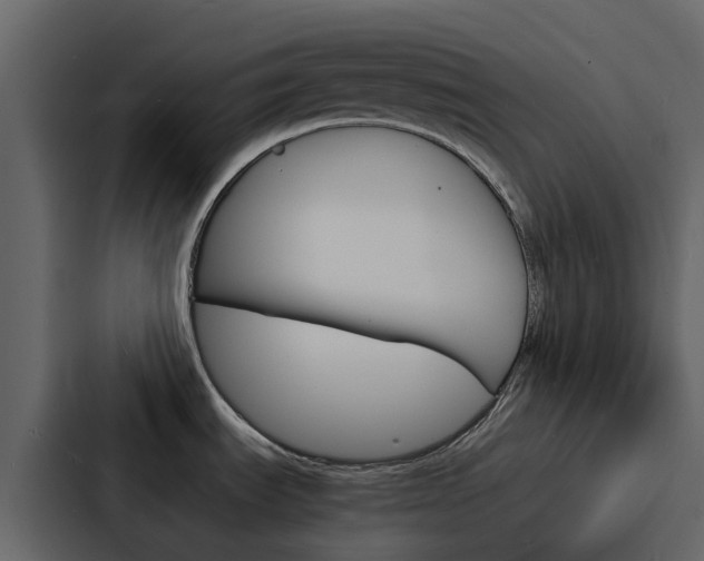 X0000088131535200705140947