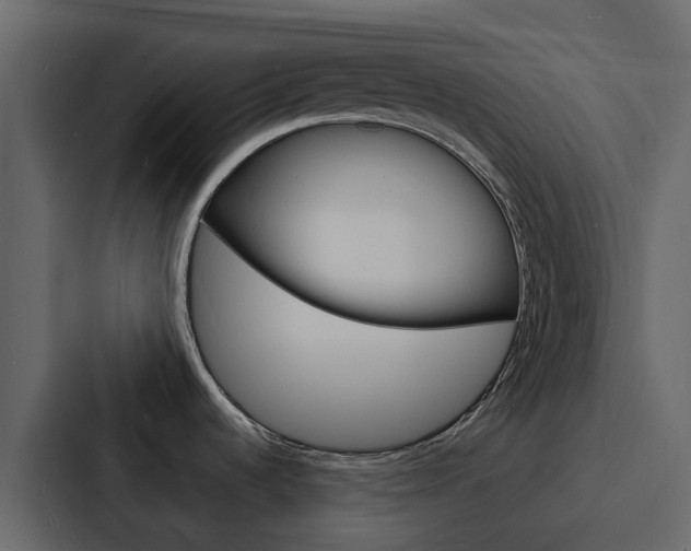 X0000088131536200705140947