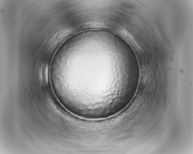 X0000088130014200705141453