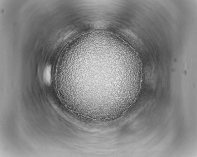X0000088130028200705141453