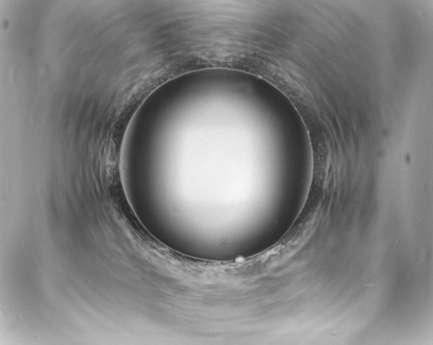 X0000088130040200705141453
