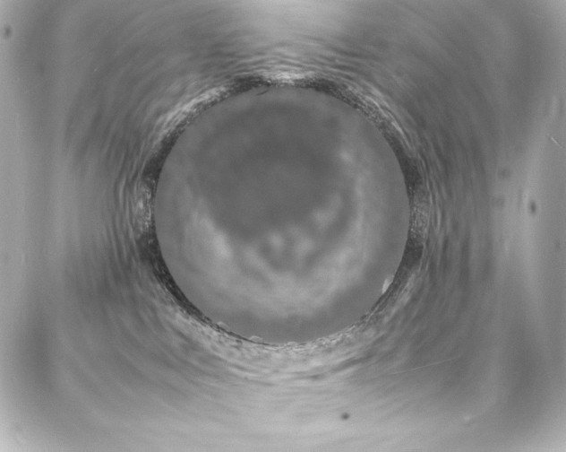 X0000088130043200705141453