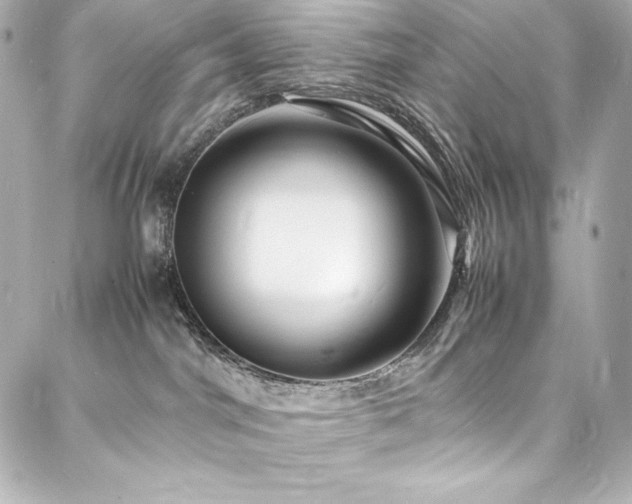 X0000088130044200705141453