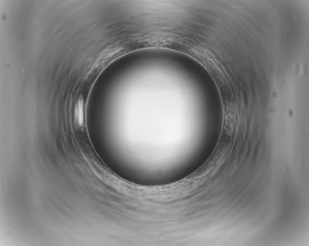 X0000088130046200705141453
