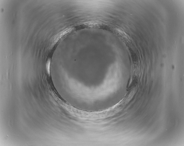 X0000088130047200705141453