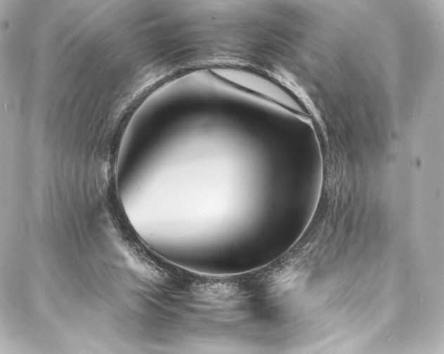 X0000088130063200705141452