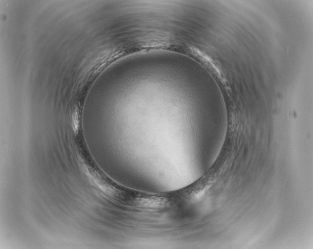 X0000088130069200705141452